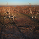 Image for article titled Photos: Aerial shots showcase Australia’s brutal drought